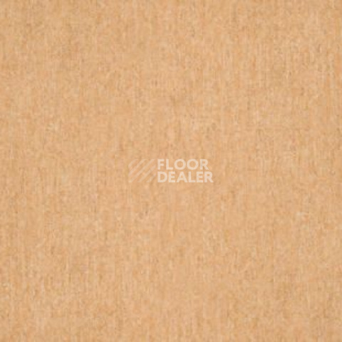 Линолеум Tarkett Travertine Pro TERRACOTTA 01 фото 1 | FLOORDEALER